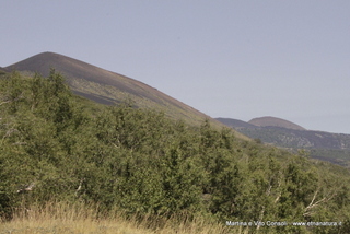 rra delle Concazze-05-08-2014 12-53-44